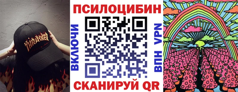 Псилоцибиновые грибы Magic Shrooms  закладки  Нефтекумск 